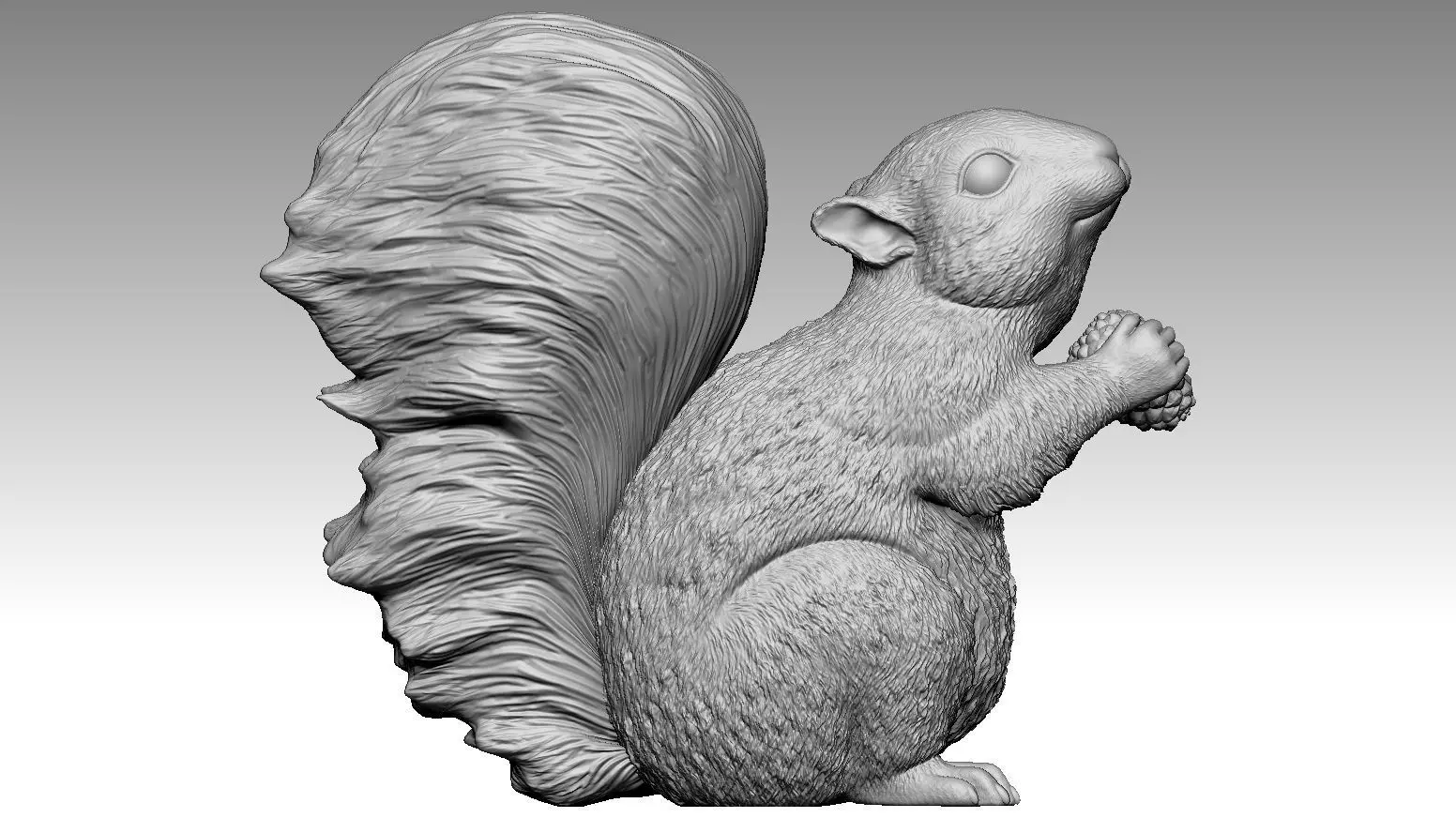 squirrel 3D print model_0