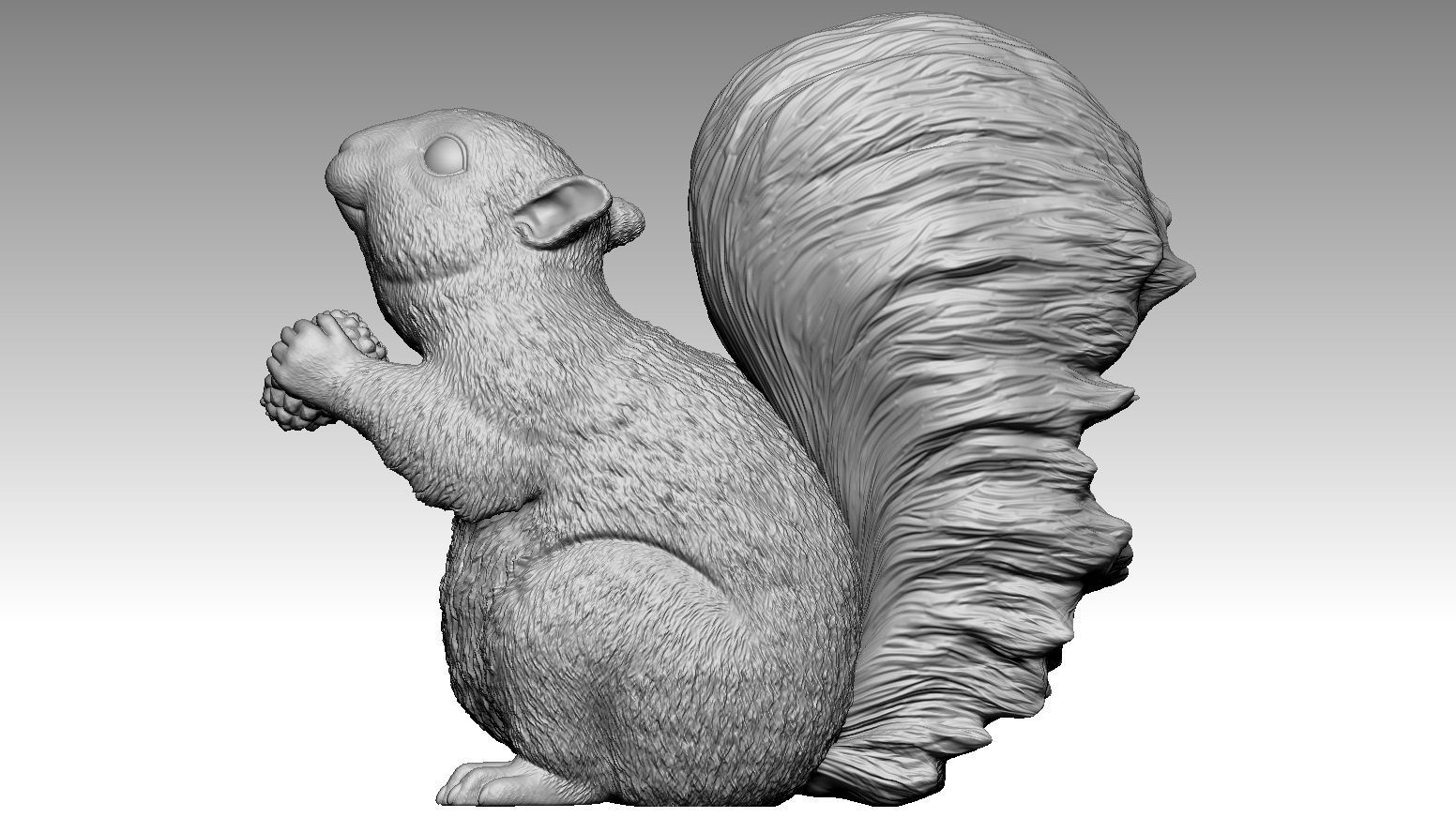 squirrel 3D print model_2