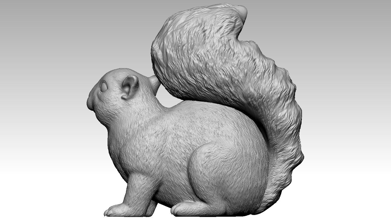 squirrel 3D print model_2