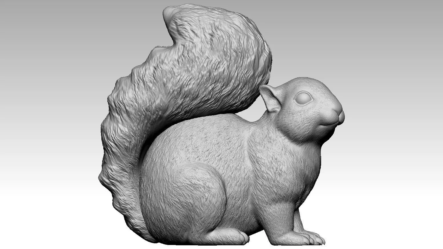 squirrel 3D print model_0