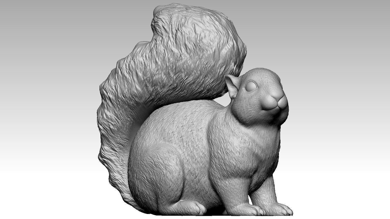 squirrel 3D print model_3