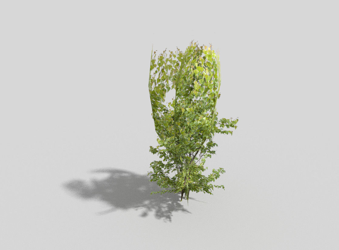 low poly tree bush Low-poly 3D model_5