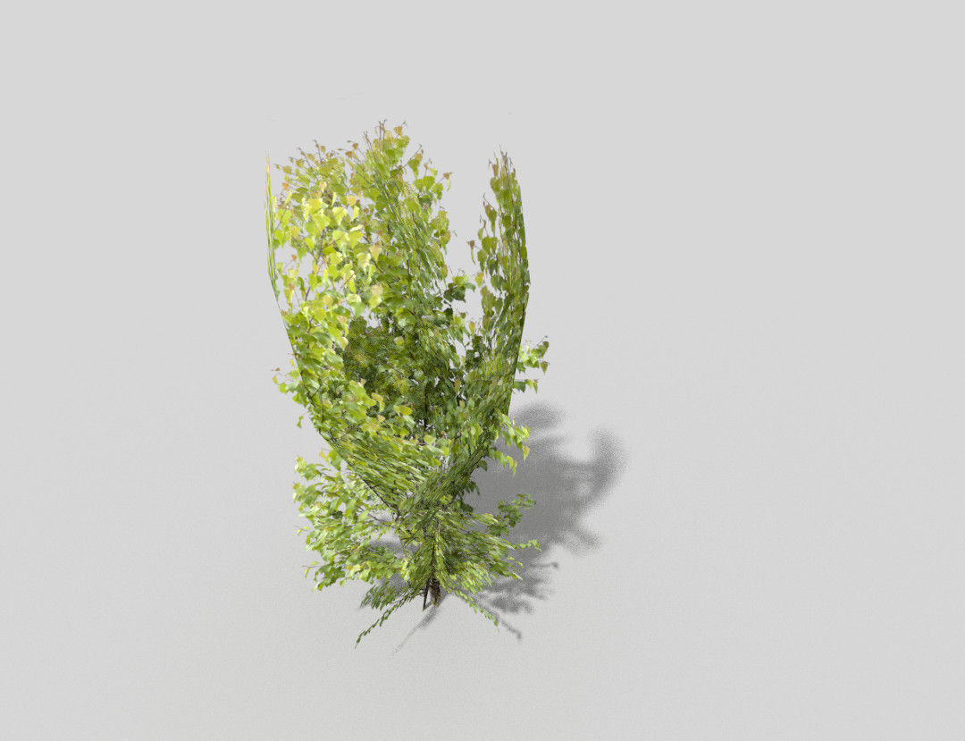 low poly tree bush Low-poly 3D model_3