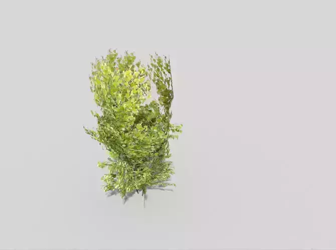 low poly tree bush