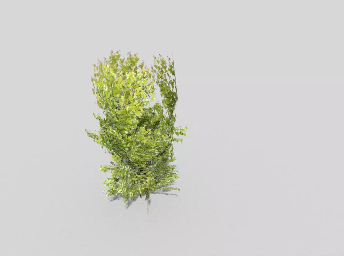 low poly tree bush Low-poly 3D model_0
