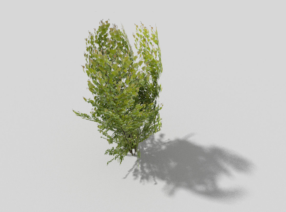 low poly tree bush Low-poly 3D model_1
