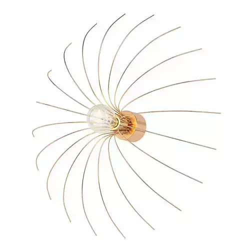 Spider Aromas 3D model