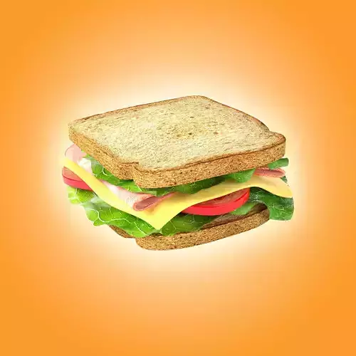 Photorealistic Sandwich