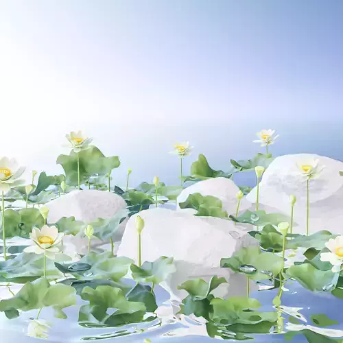 Background of a product display in a lotus pond