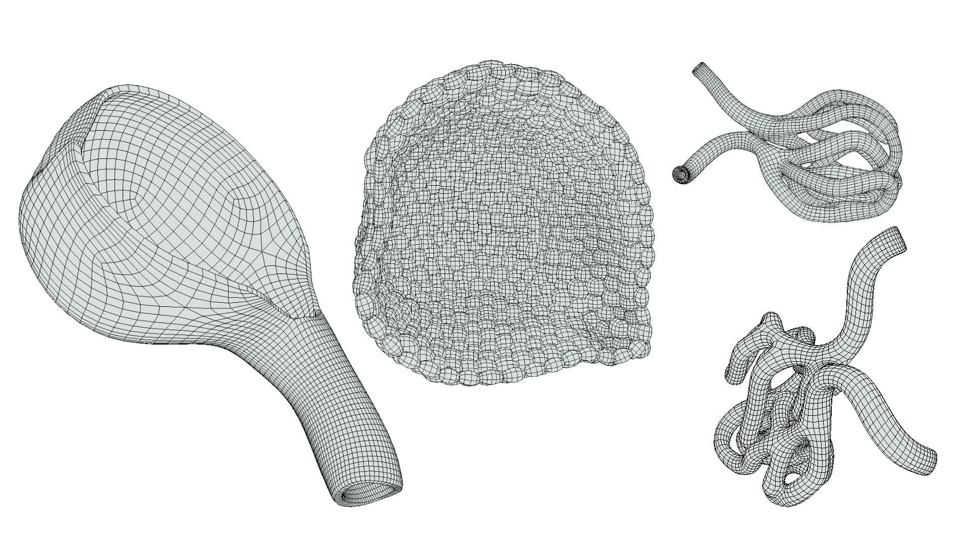 Glomerulus Anatomy 3D model_9