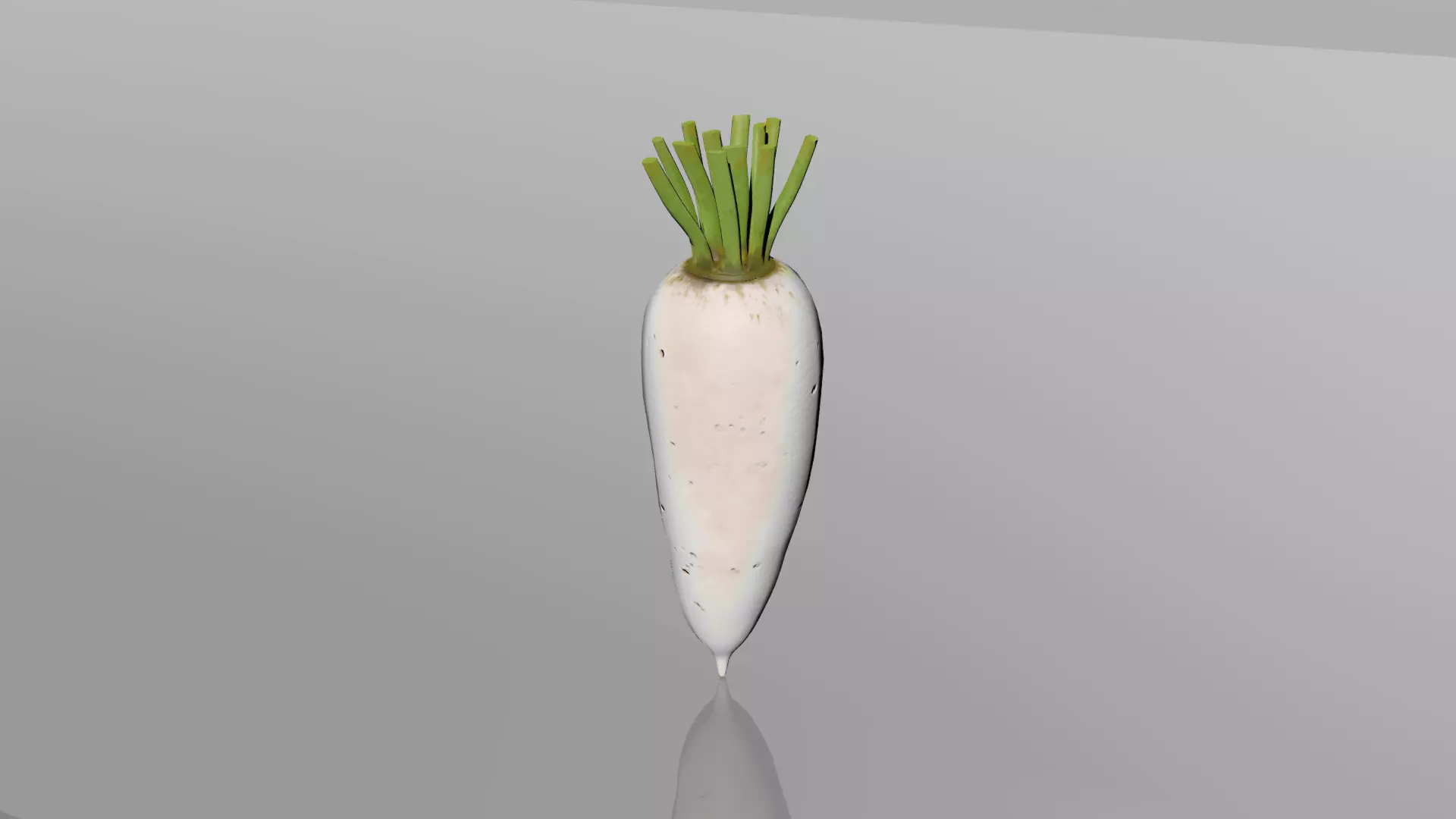 Daikon 3D model