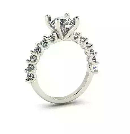 1 ring 3D print model