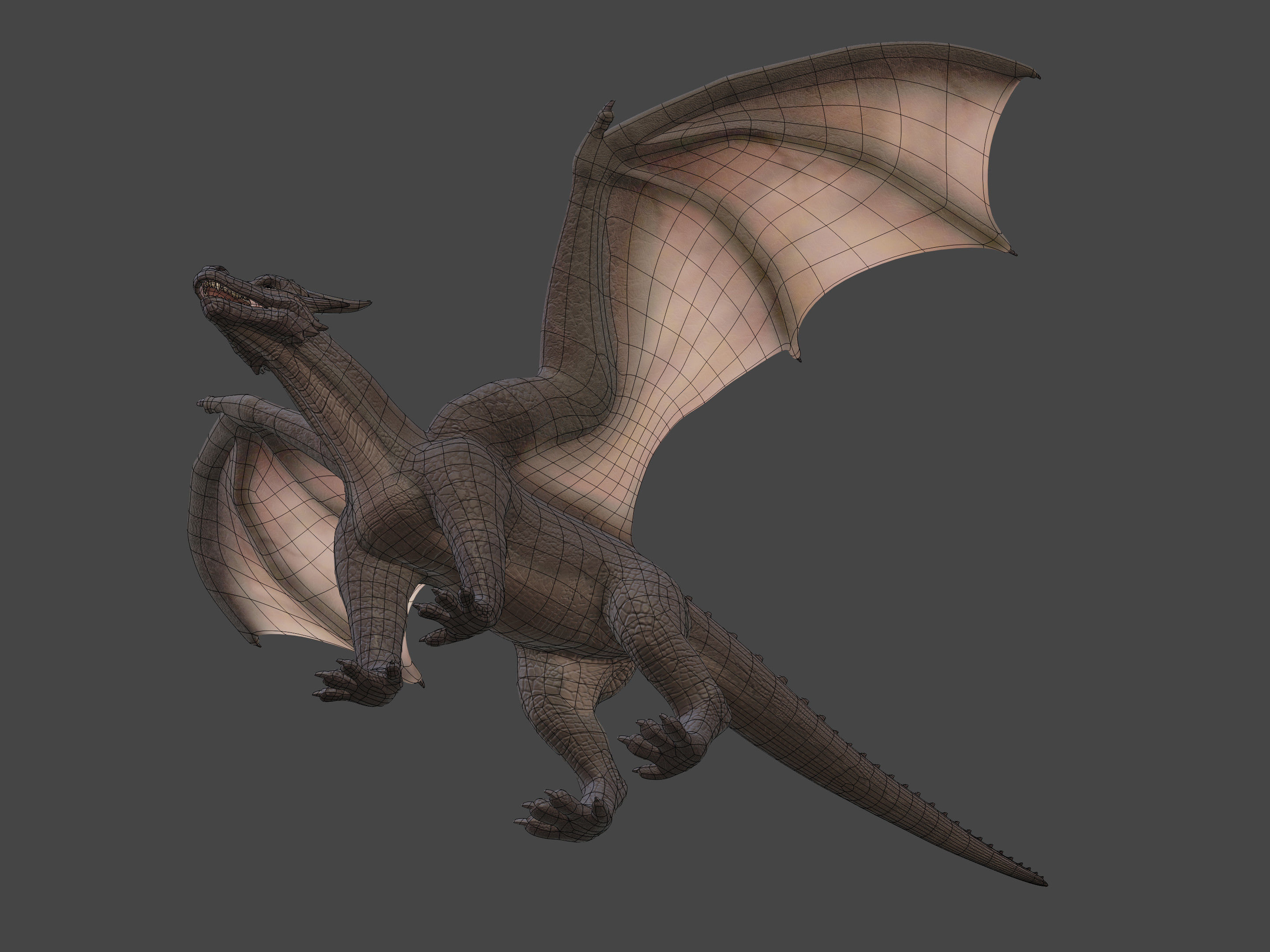 High Quality Textured Dragon Model Low-poly 3D model_23