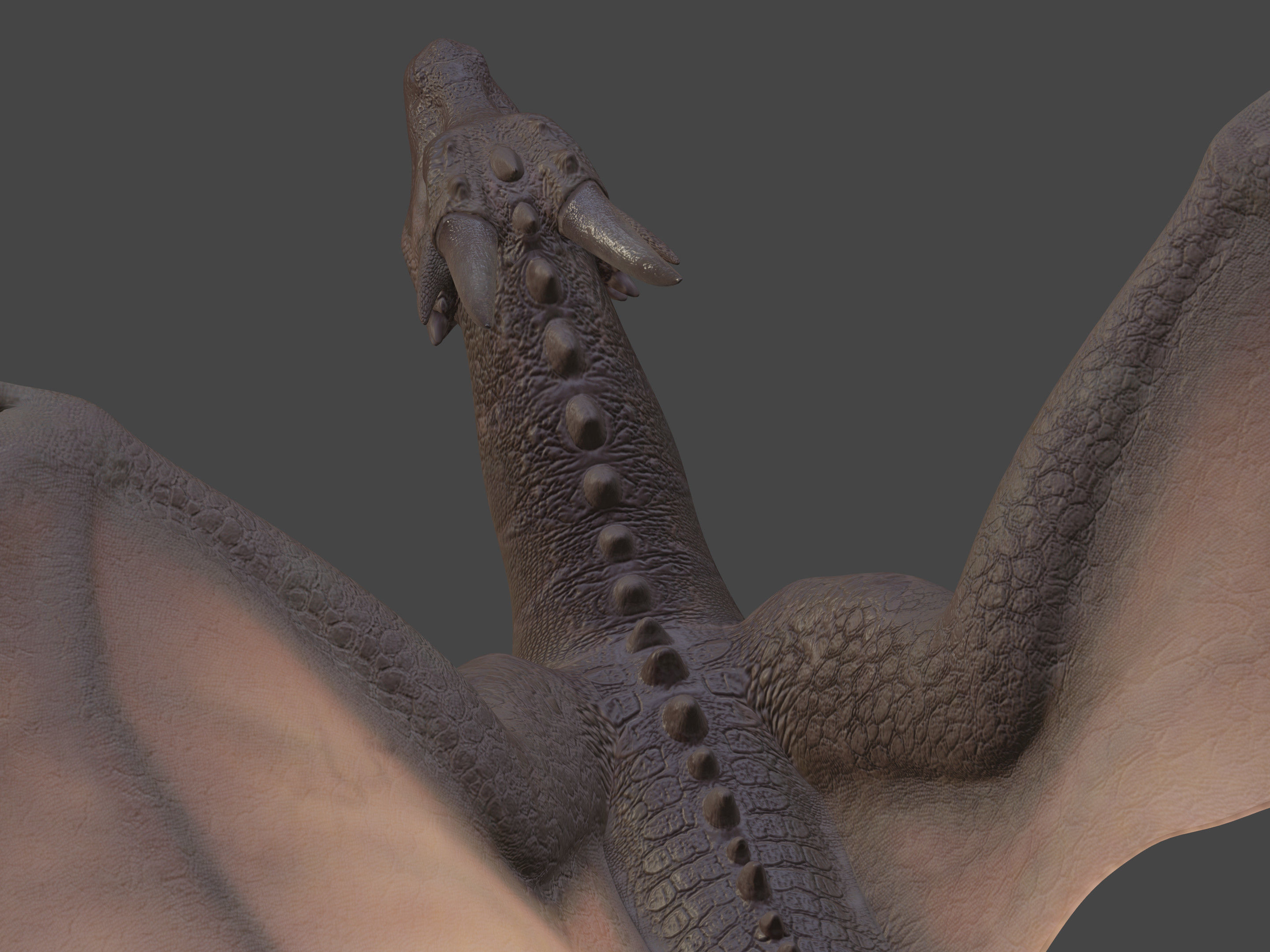 High Quality Textured Dragon Model Low-poly 3D model_24