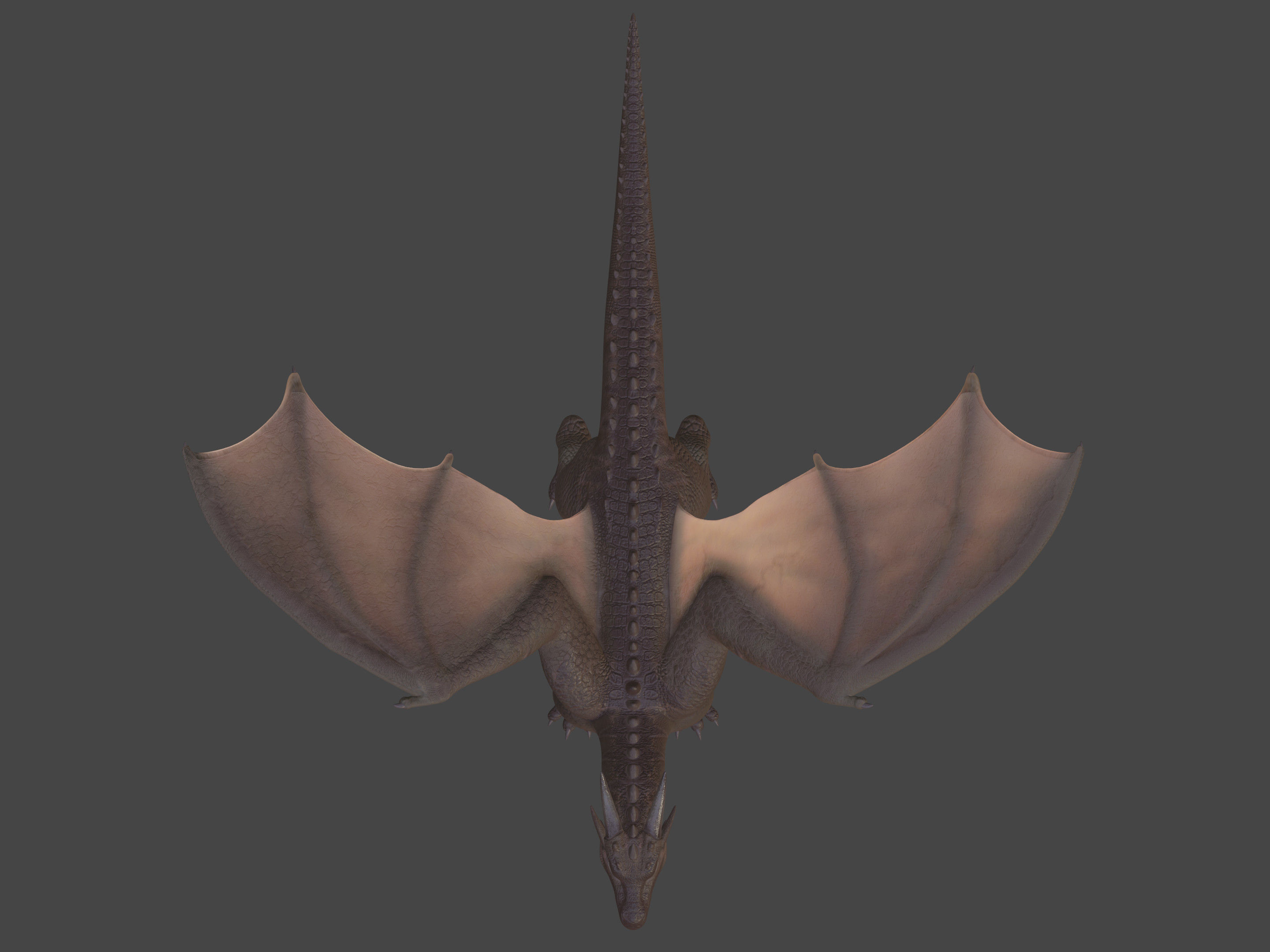 High Quality Textured Dragon Model Low-poly 3D model_20