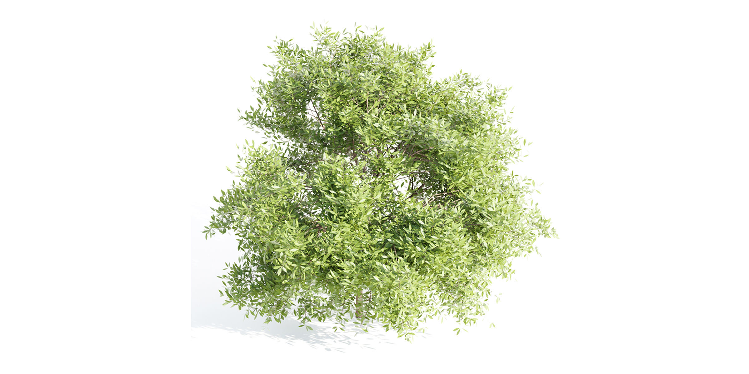 Outdoor Bushes Collection vol 89-Blender 3D model_7