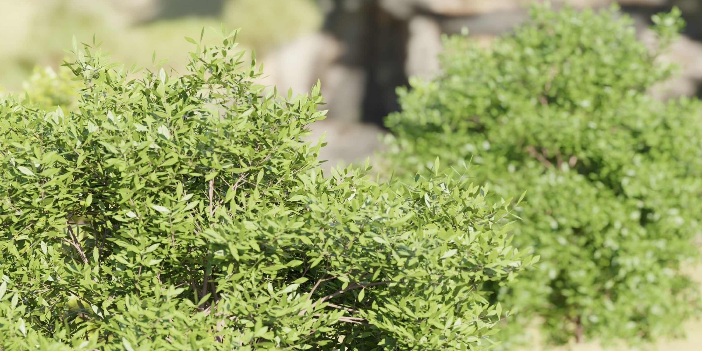 Outdoor Bushes Collection vol 89-Blender 3D model_1