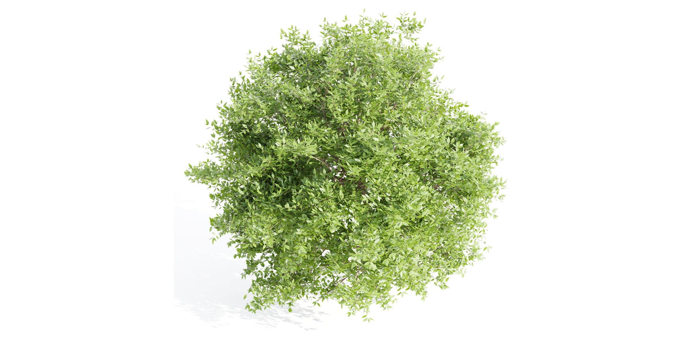 Outdoor Bushes Collection vol 89-Blender 3D model_6
