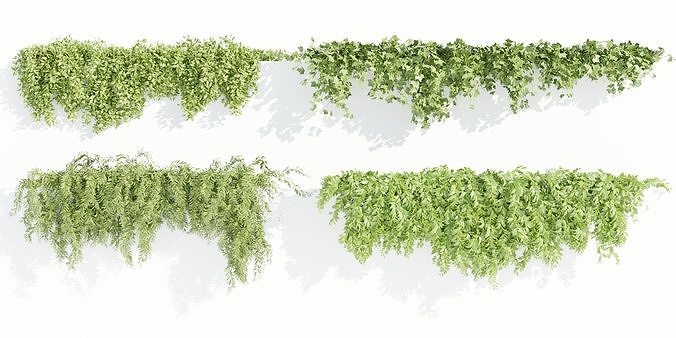 Hanging wall plants collection vol 90-Blender 3D model