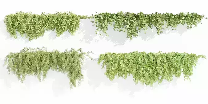 Hanging wall plants collection vol 90-Blender