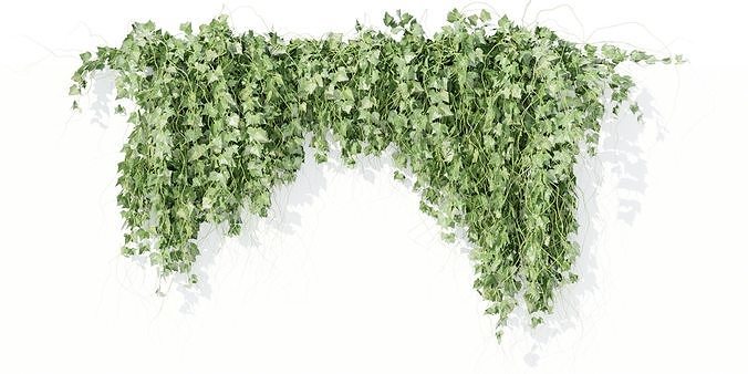 Hanging wall plants vol 91-Blender 3D model