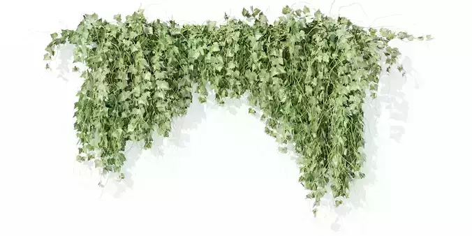 Hanging wall plants vol 91-Blender