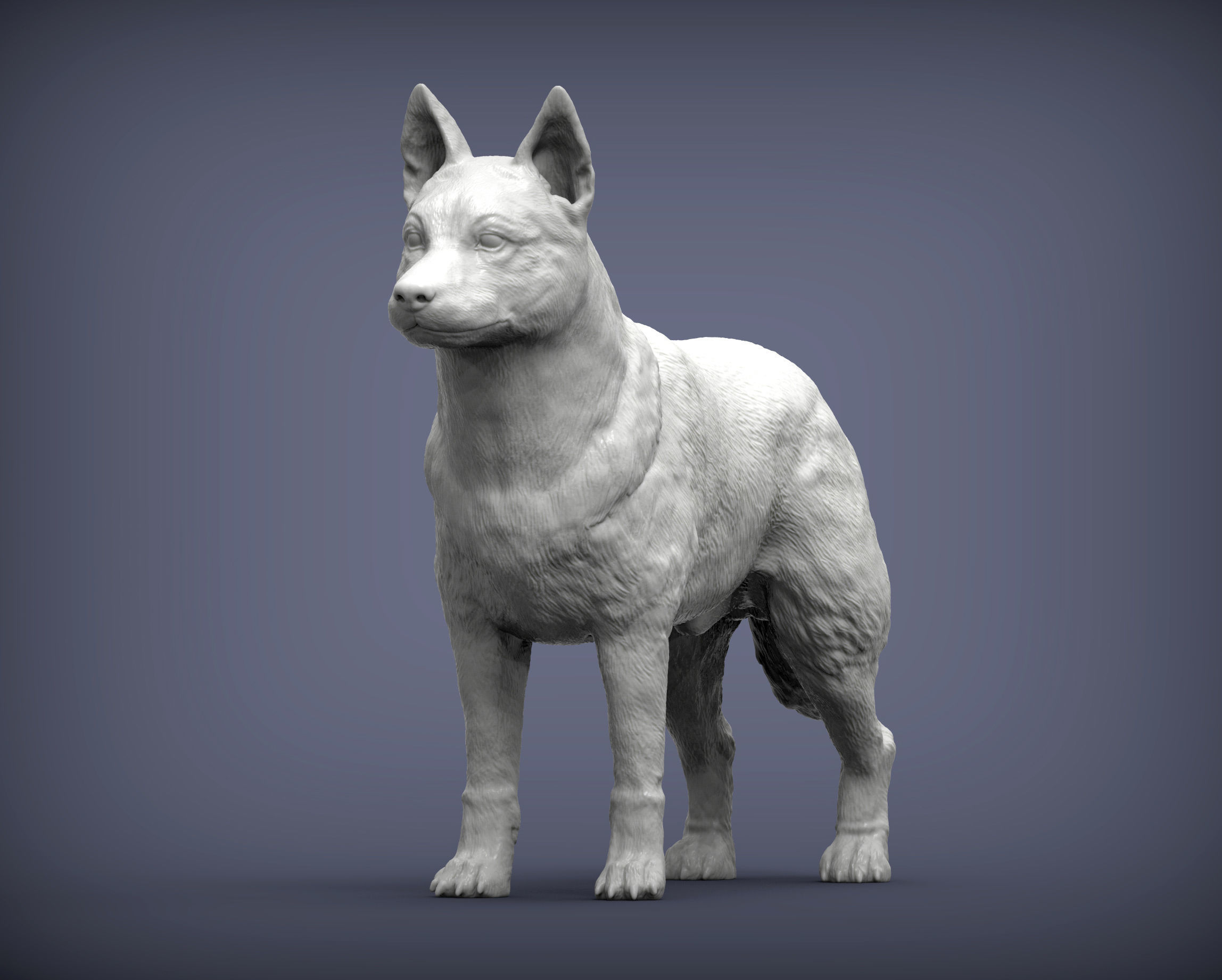 Australian Cattle Dog 3D print model_3