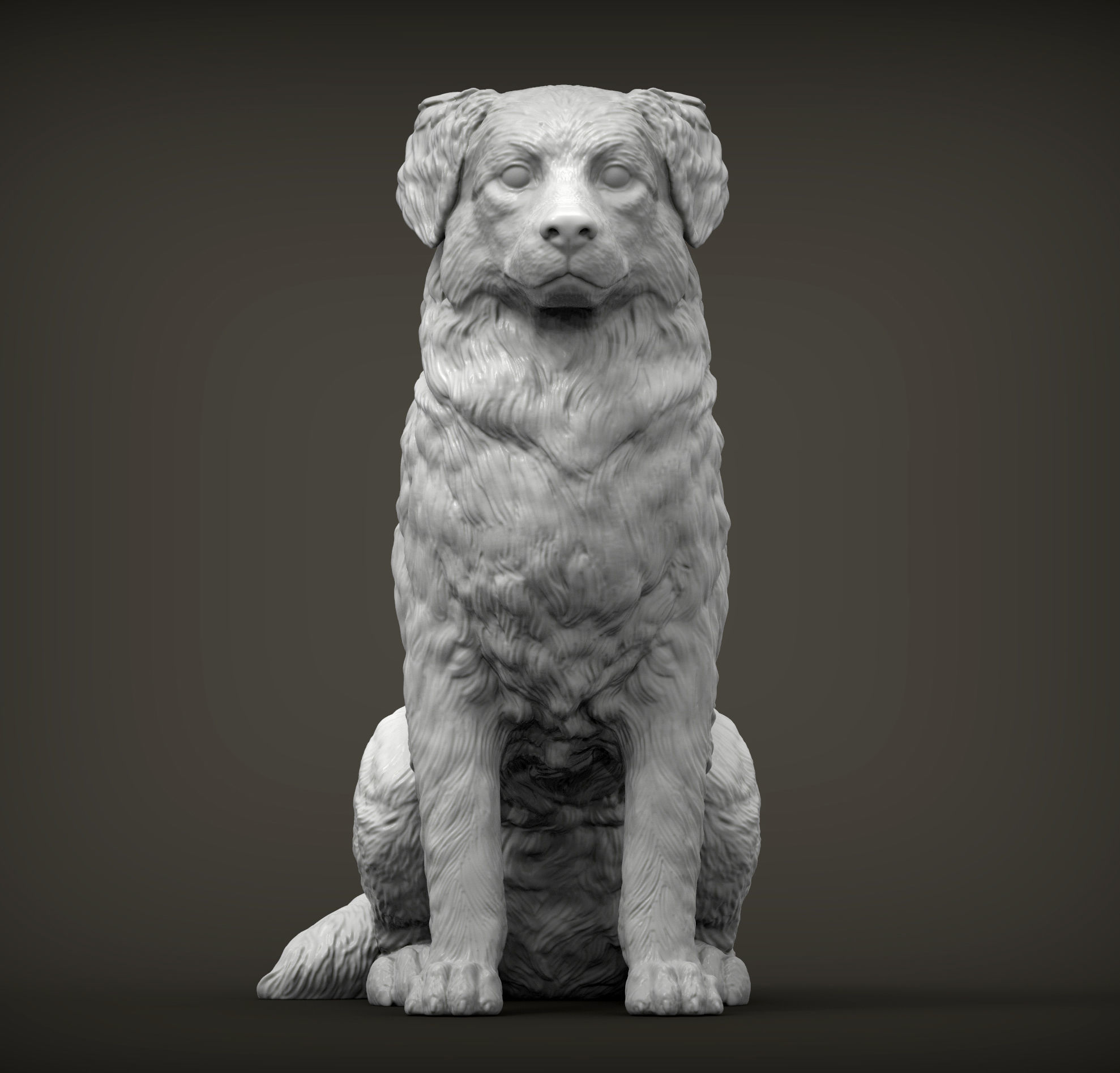 Australian shepherd sitting 3D print model_2