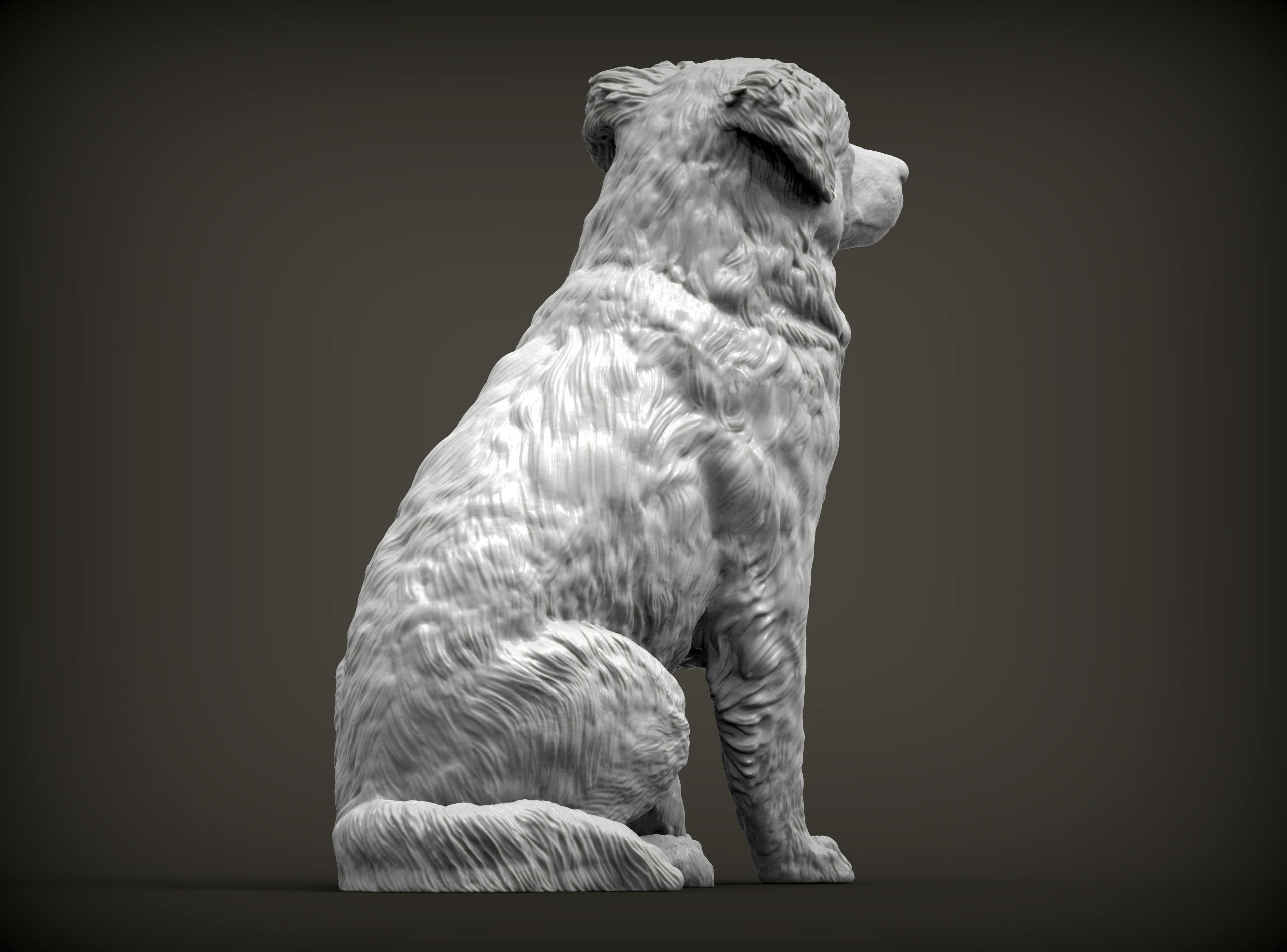 Australian shepherd sitting 3D print model_6
