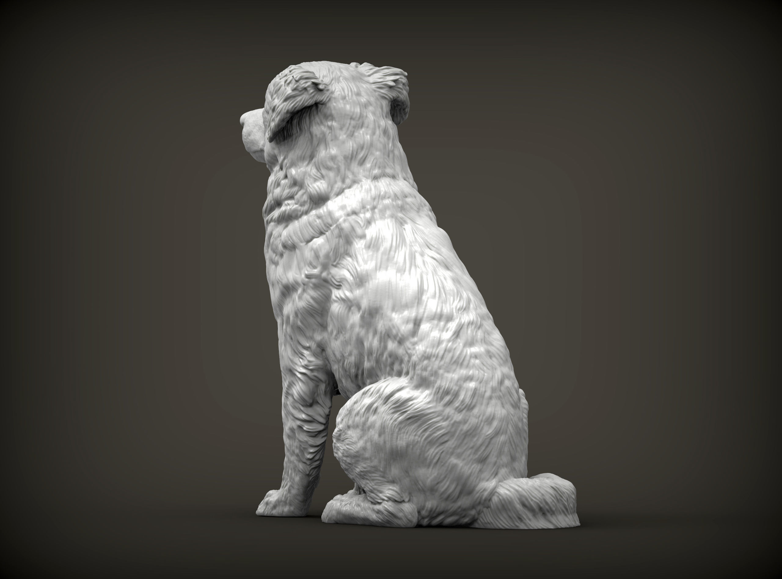 Australian shepherd sitting 3D print model_4