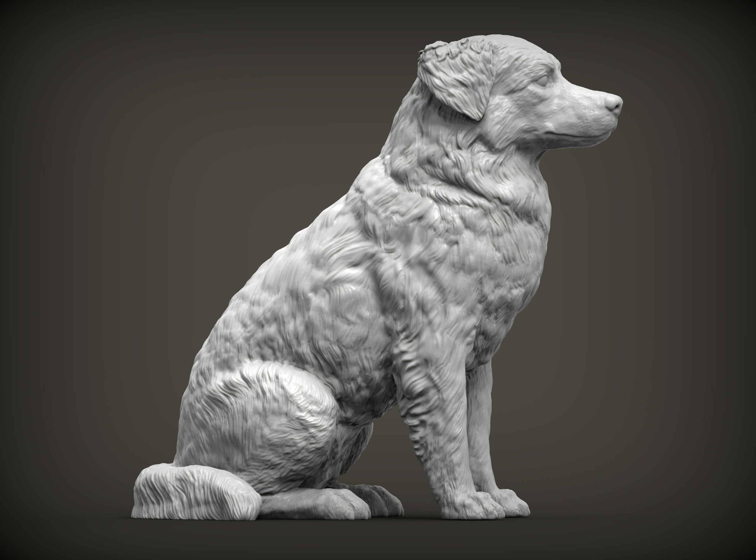 Australian shepherd sitting 3D print model_5