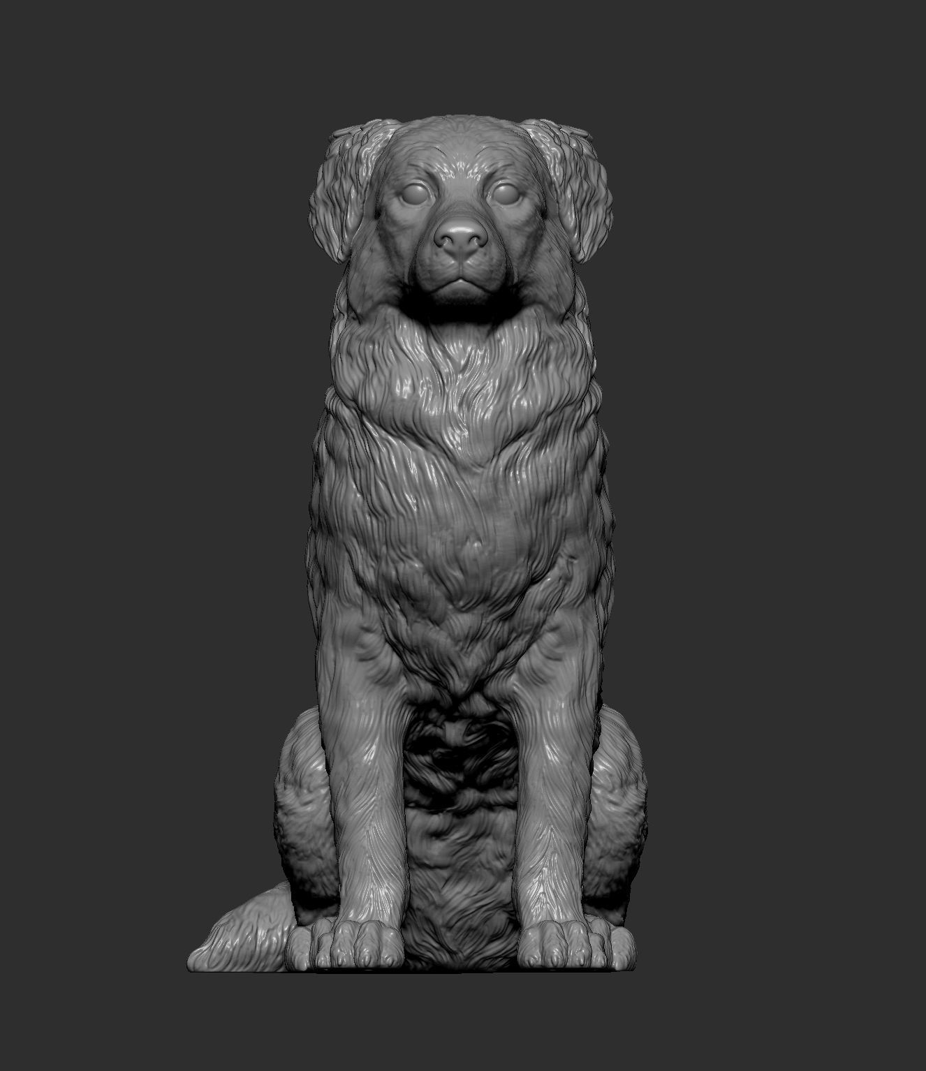Australian shepherd sitting 3D print model_11