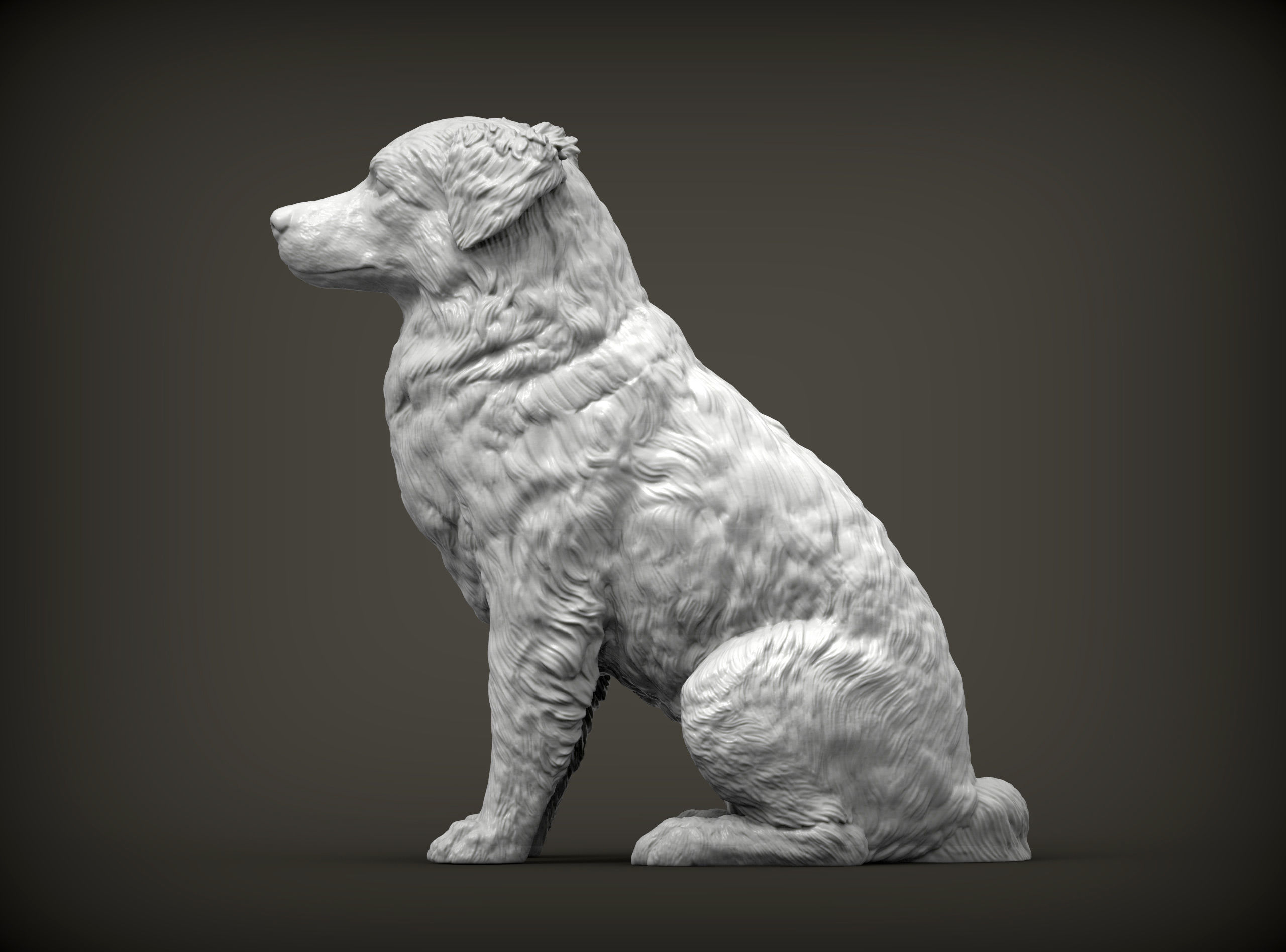 Australian shepherd sitting 3D print model_3