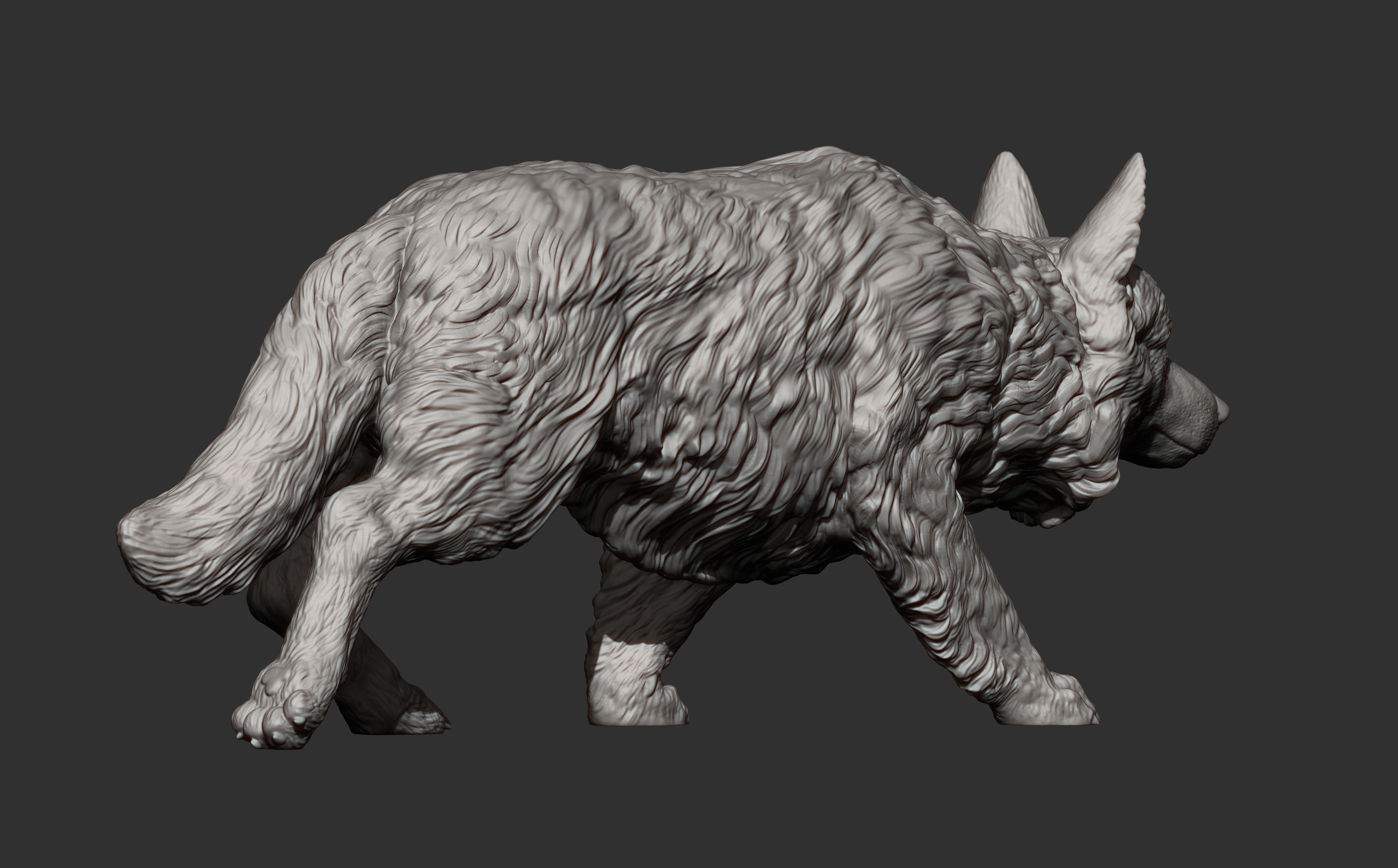 Border Collie 3D print model_9