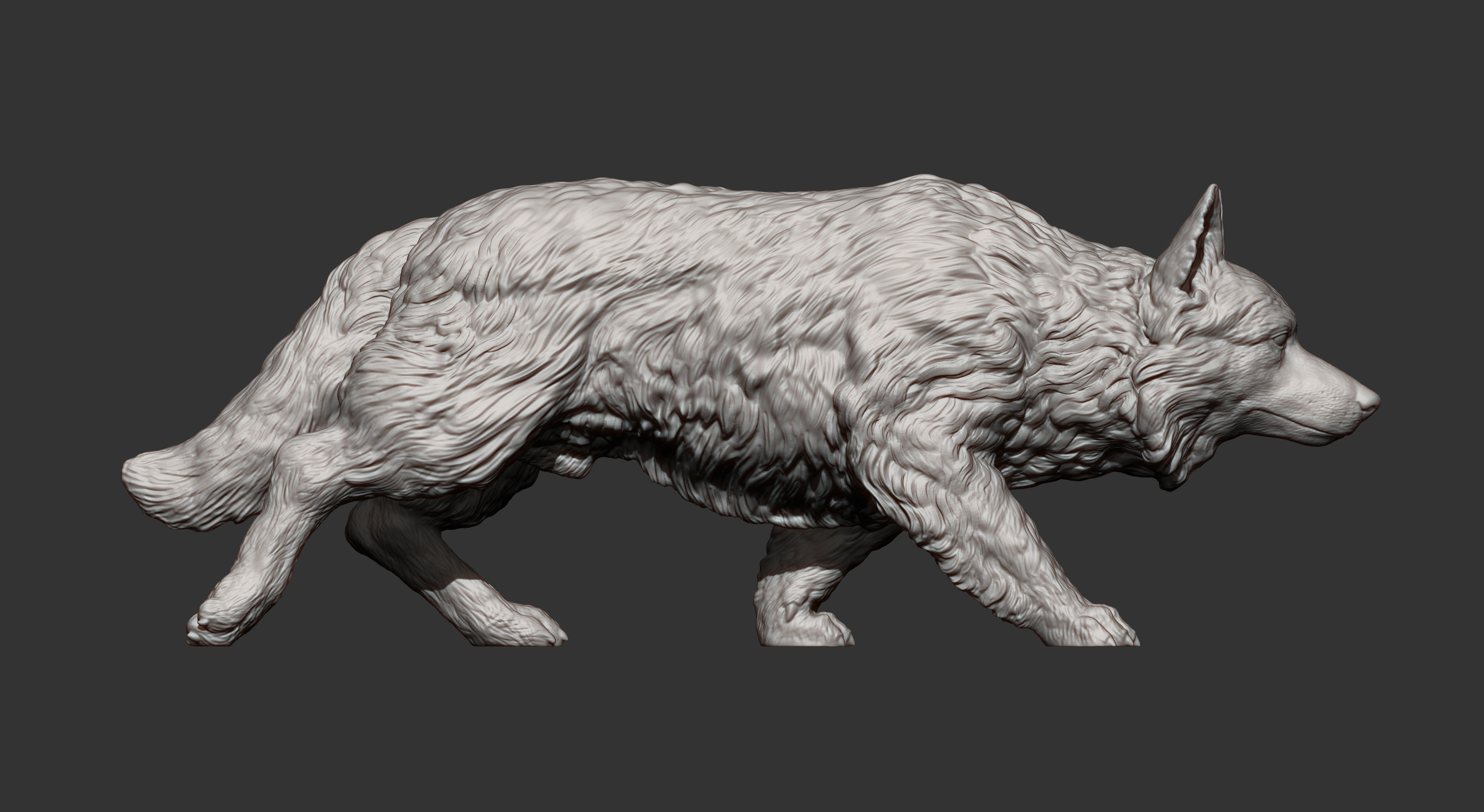 Border Collie 3D print model_11