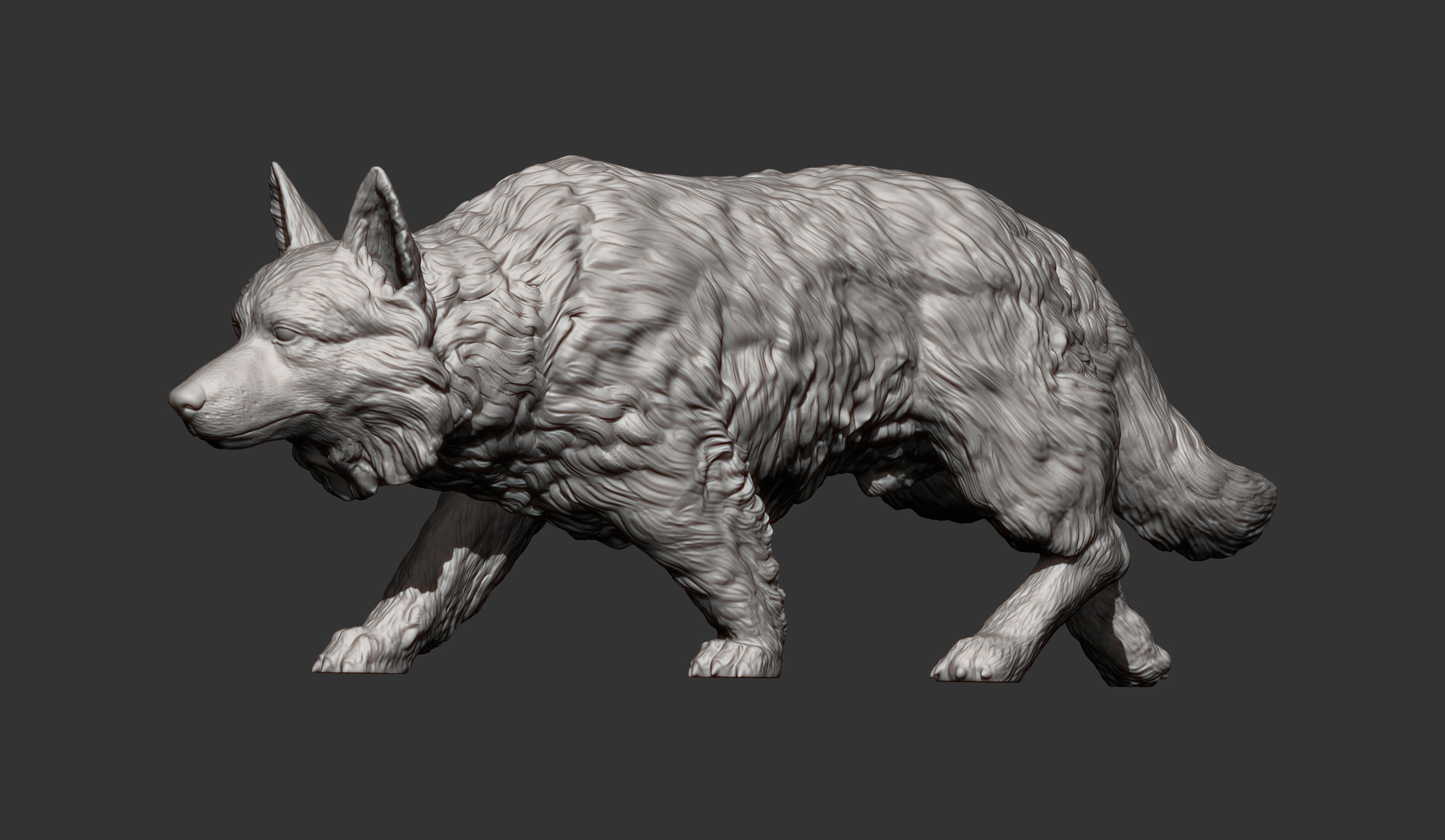 Border Collie 3D print model_12