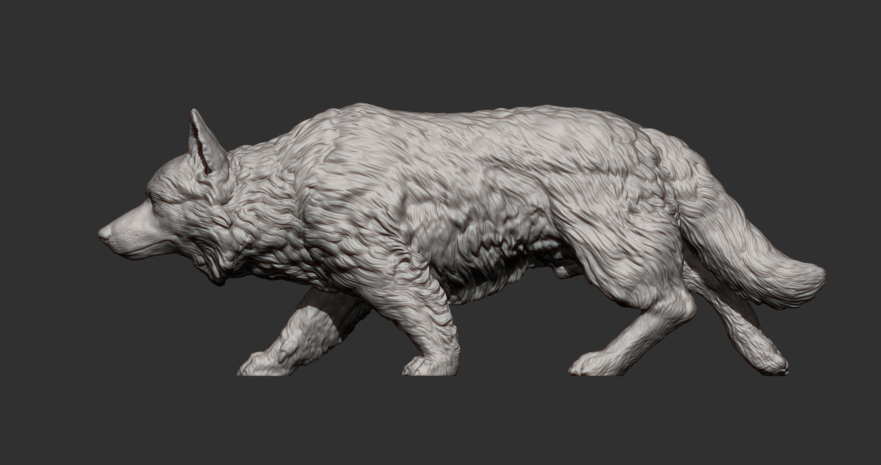 Border Collie 3D print model_7
