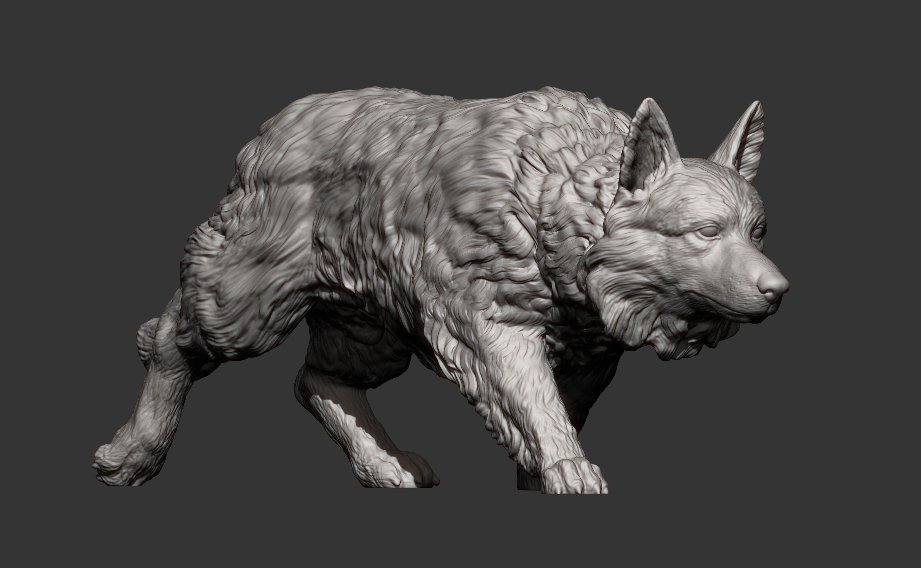 Border Collie 3D print model_8