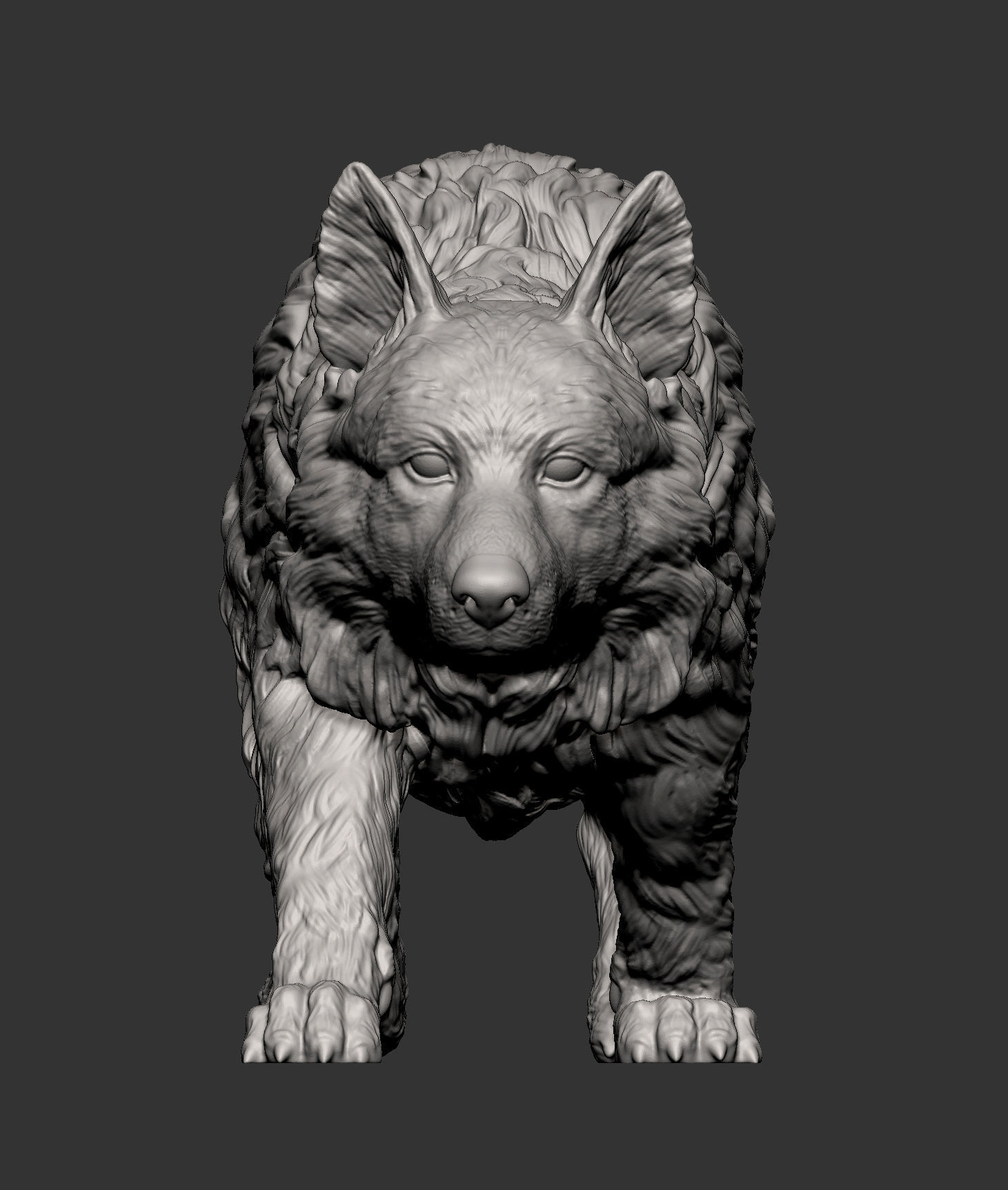 Border Collie 3D print model_10
