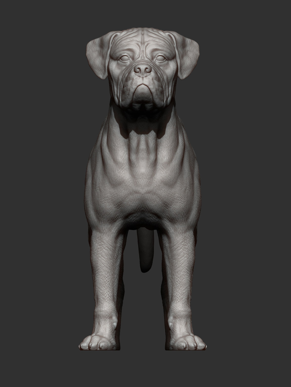 Bullmastiff 3D print model_10