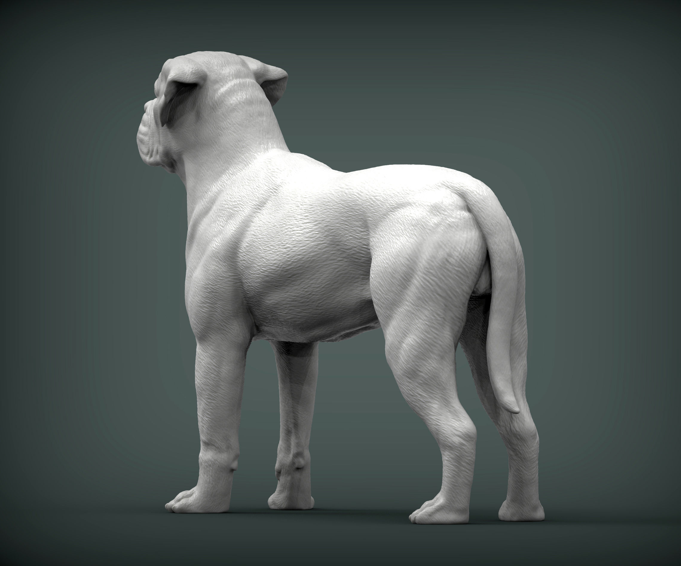 Bullmastiff 3D print model_3