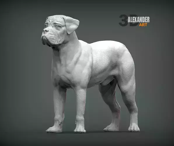 Bullmastiff
