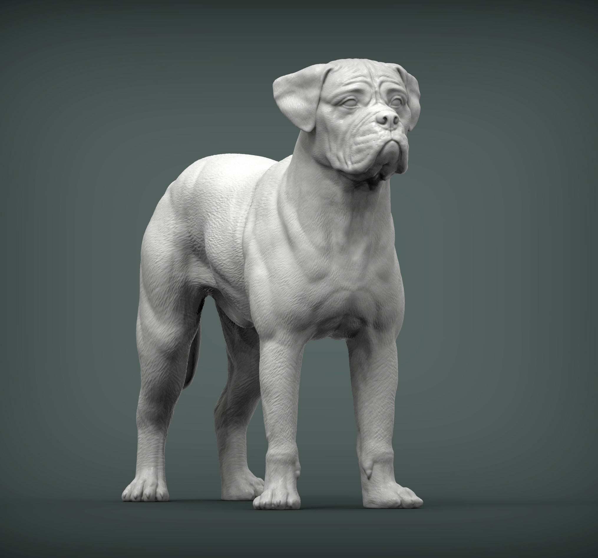Bullmastiff 3D print model_2