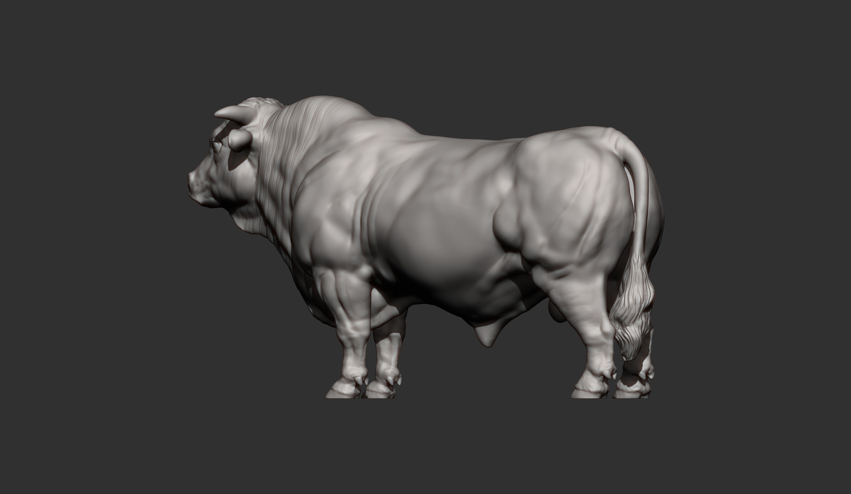 Charolais 3D print model_9