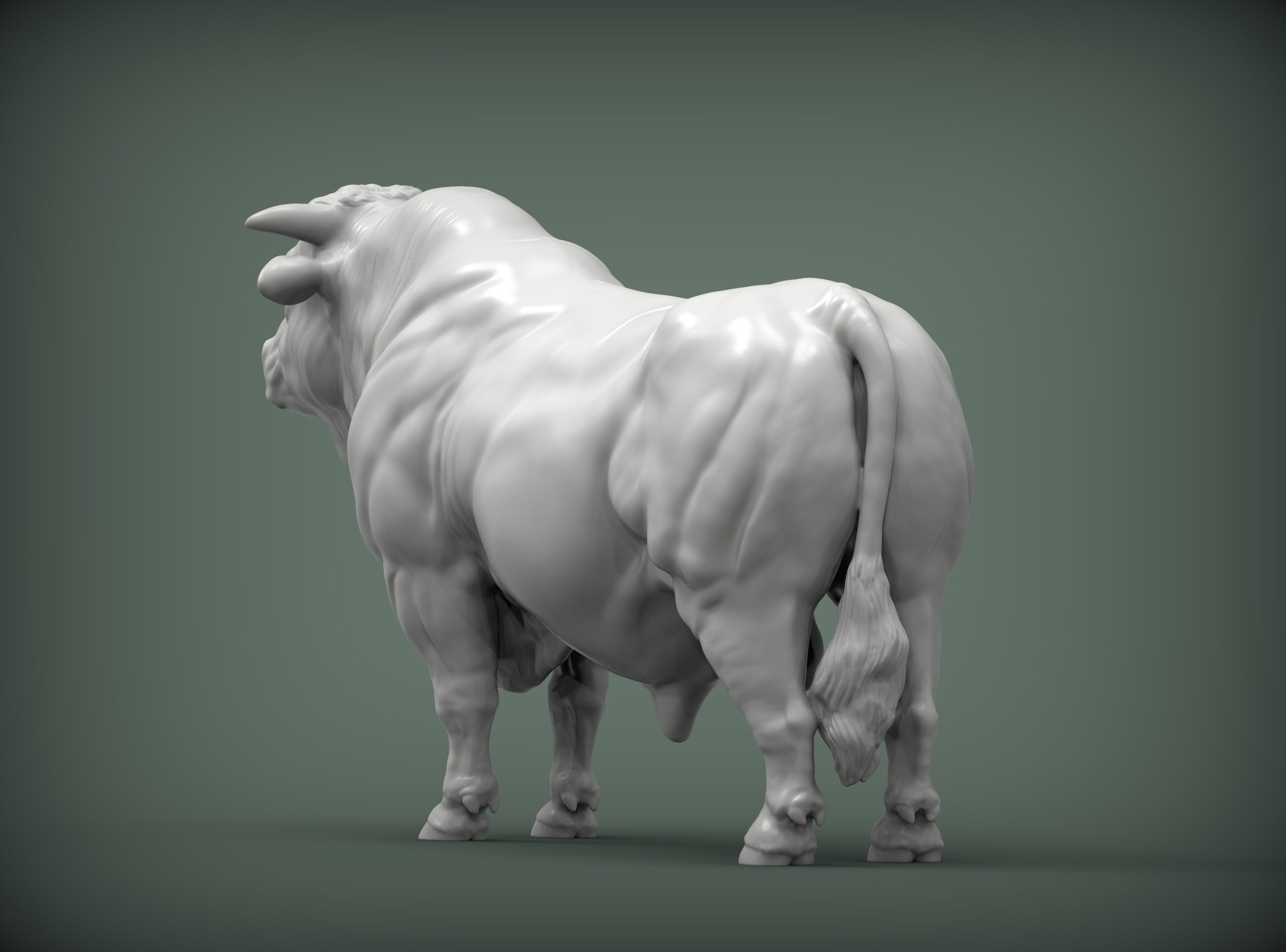 Charolais 3D print model_4