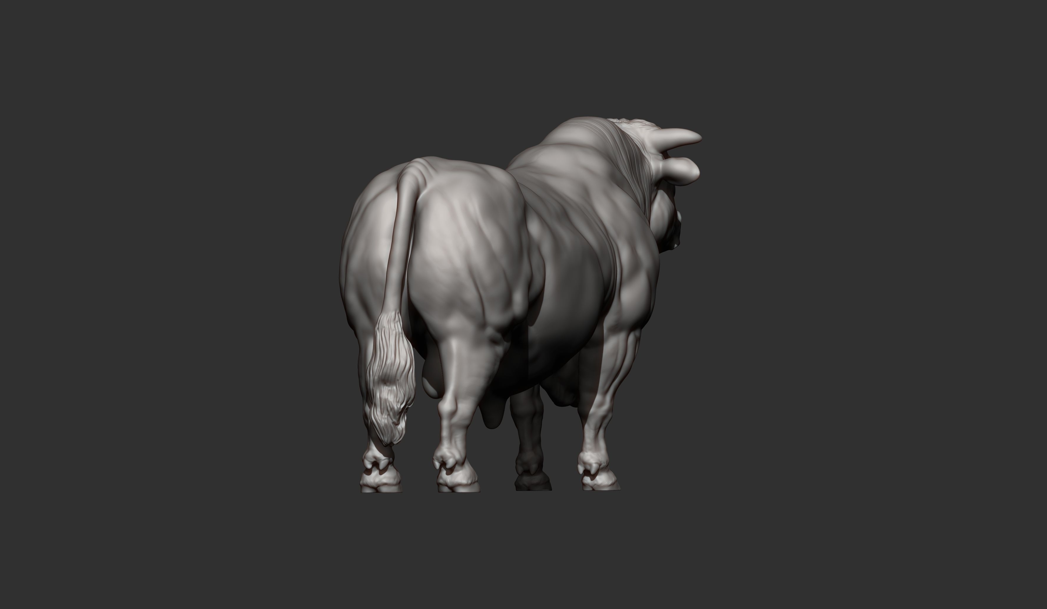 Charolais 3D print model_8