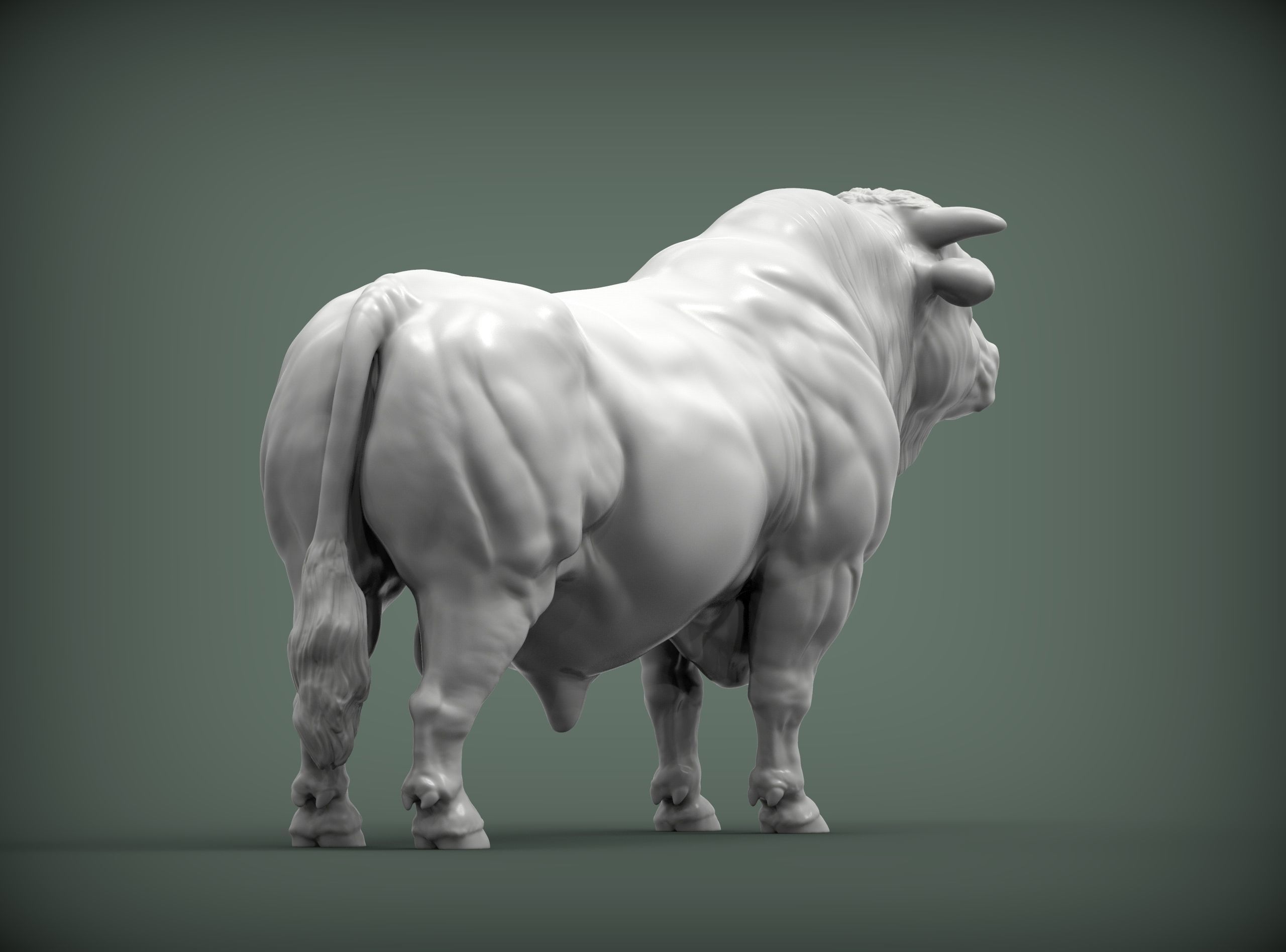 Charolais 3D print model_6