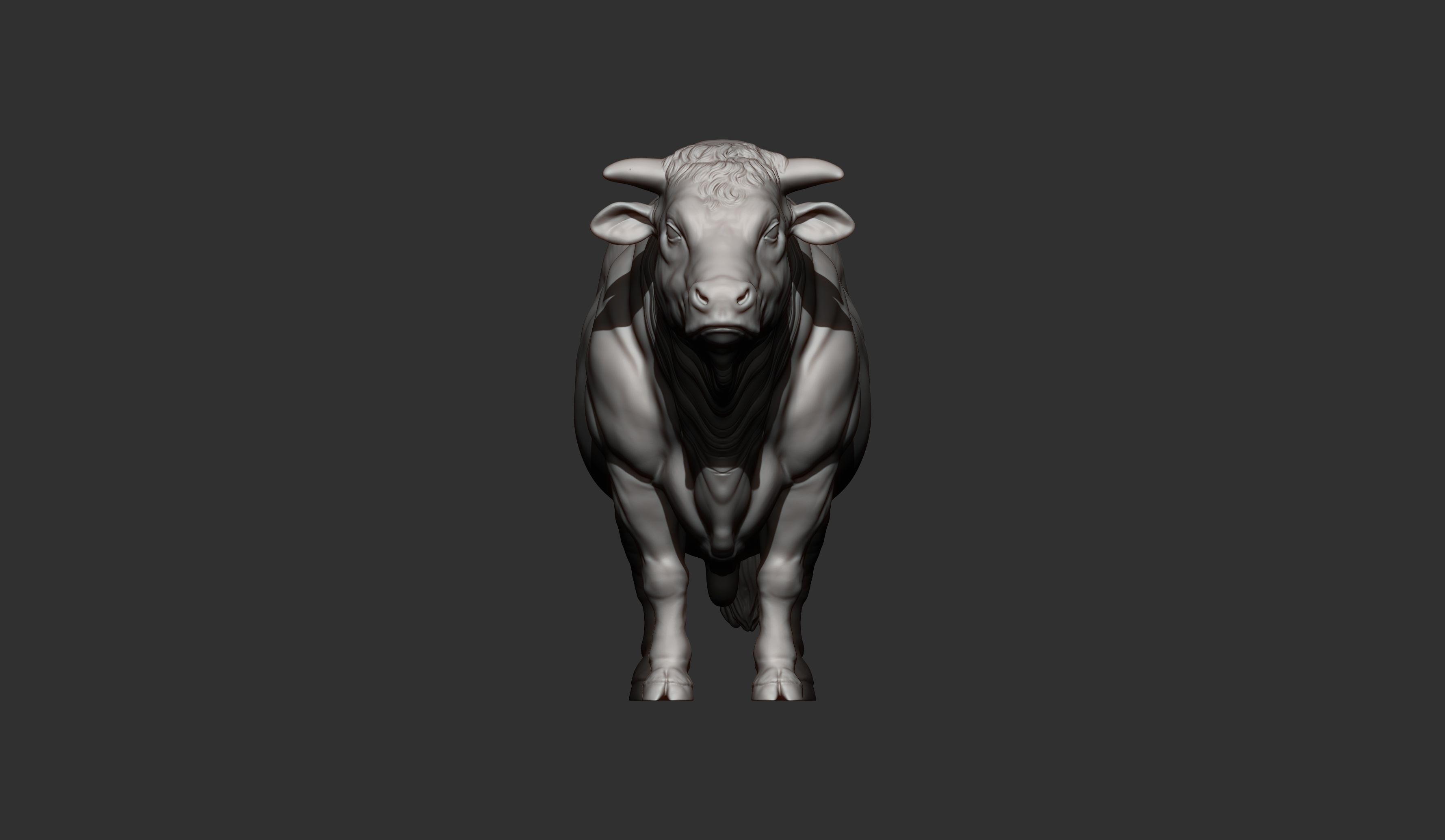 Charolais 3D print model_7