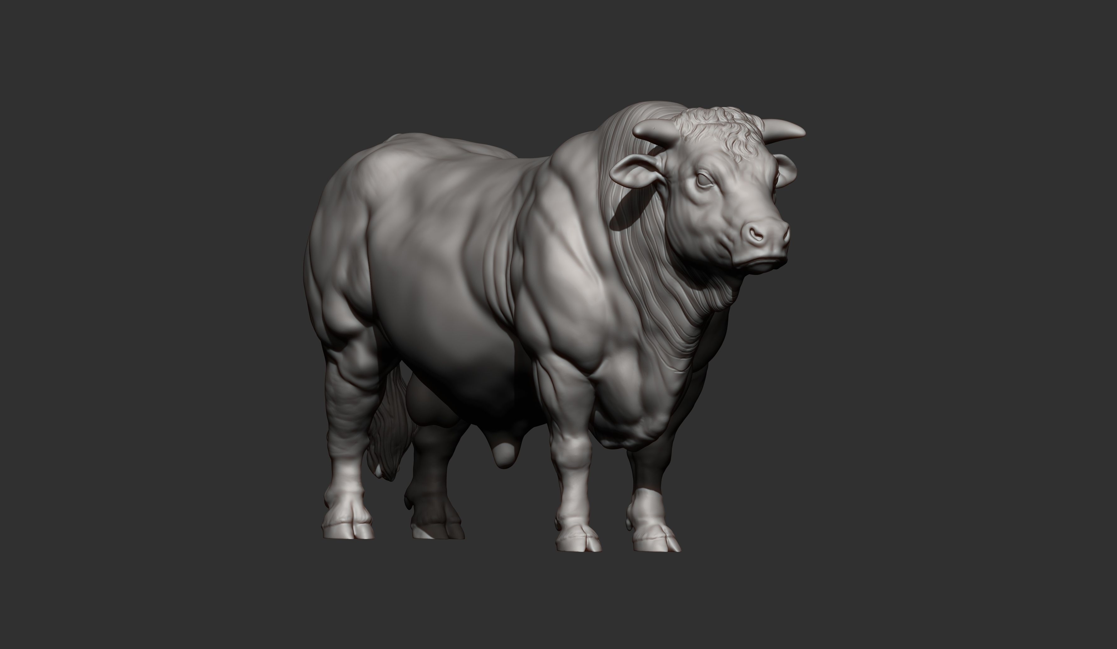 Charolais 3D print model_10