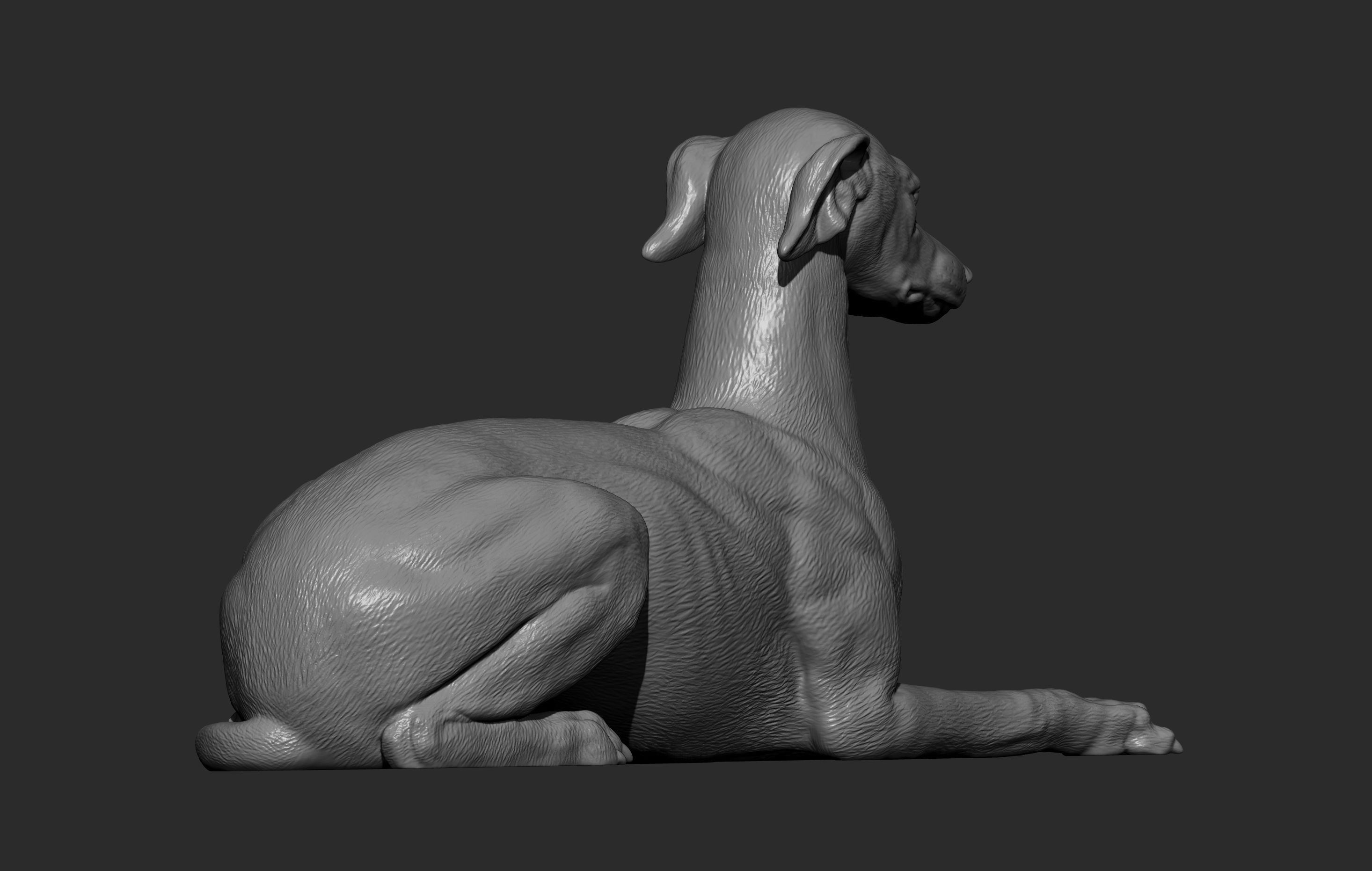 greyhound lies 3D print model_10